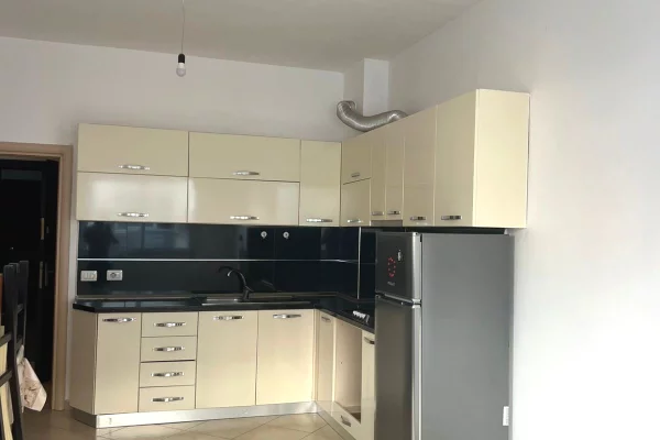 House for Rent 1+1 in Tirana - 40,000 Leke