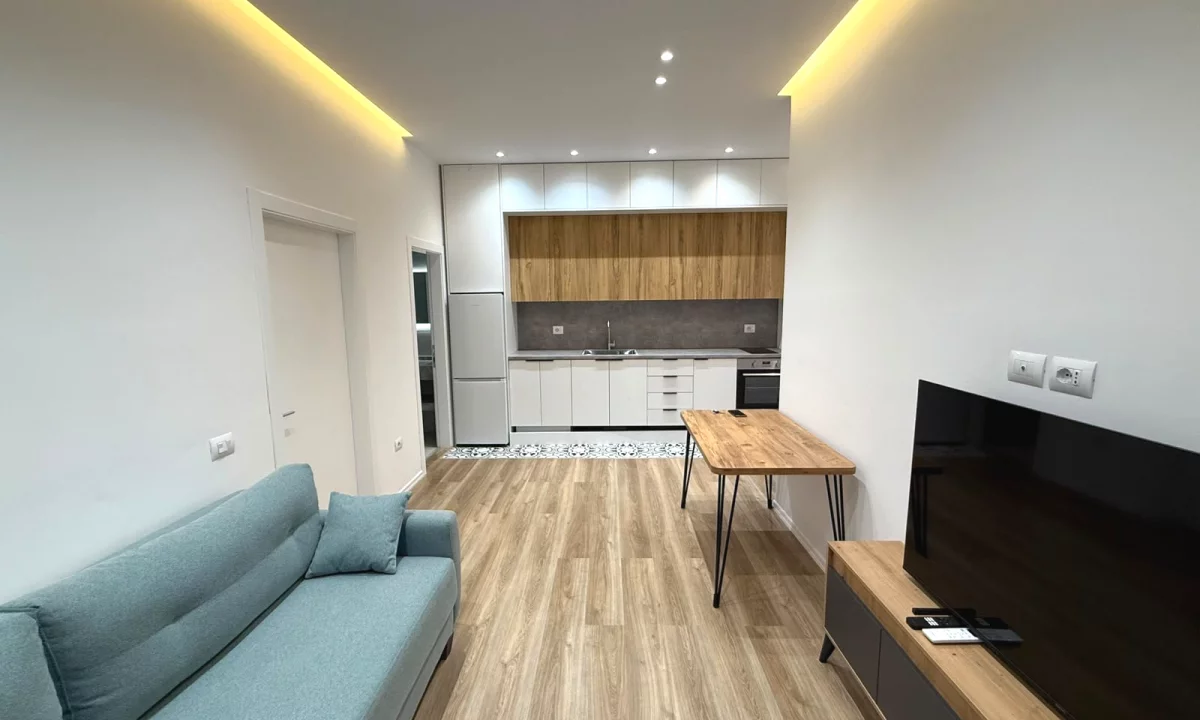 House for Rent Apartment in Tirana, 1+1, Furniture Furnished, Payment 600  Euro.