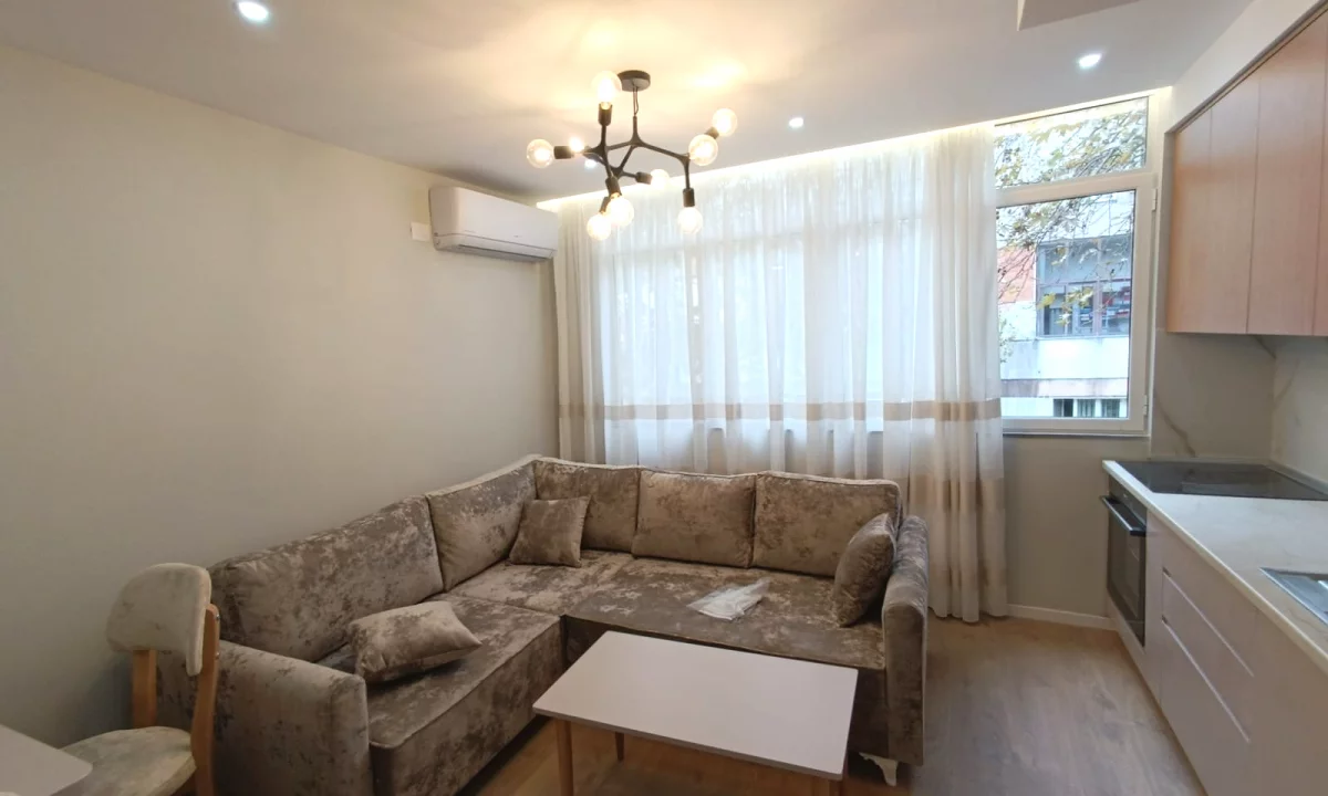 House for Rent Apartment in Tirana, 1+1, Furniture Furnished, Payment 55,000  Leke.