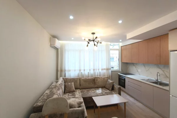 House for Rent Apartment in Tirana, 1+1, Furniture Furnished, Payment 55,000  Leke.