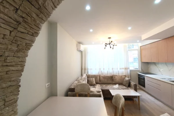 House for Rent Apartment in Tirana, 1+1, Furniture Furnished, Payment 55,000  Leke.