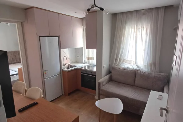 House for Rent Apartment in Tirana, 1+1, Furniture Furnished, Payment 55,000  Leke.