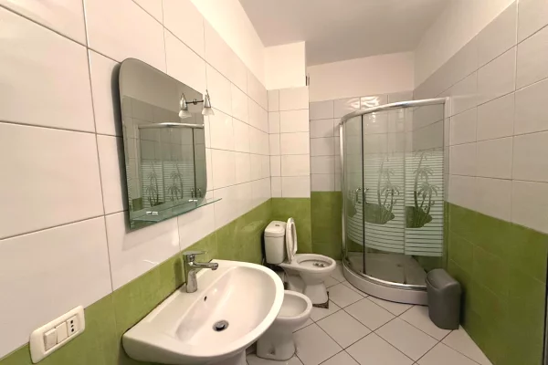 House for Rent Apartment in Tirana, 1+1, Furniture Furnished, Payment 40,000  Leke.