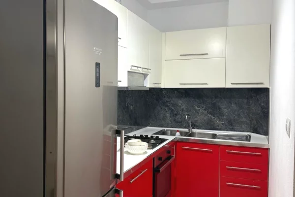 House for Rent Apartment in Tirana, 1+1, Furniture Furnished, Payment 45,000  Leke.