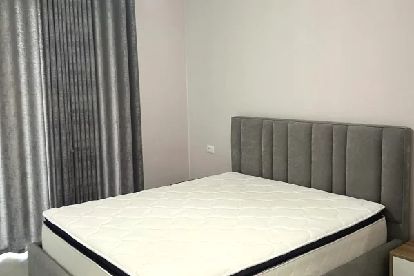 House for Rent Apartment in Tirana, 1+1, Furniture Furnished, Payment 55,000  Leke.