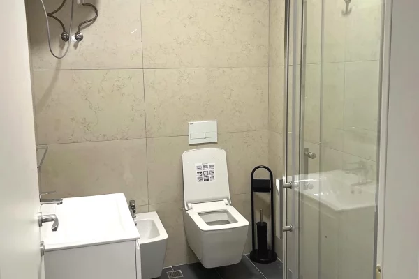 House for Rent Apartment in Tirana, 1+1, Furniture Furnished, Payment 55,000  Leke.