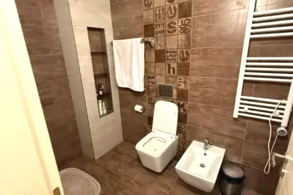 House for Rent Apartment in Tirana, 1+1, Furniture Furnished, Payment 550  Euro.