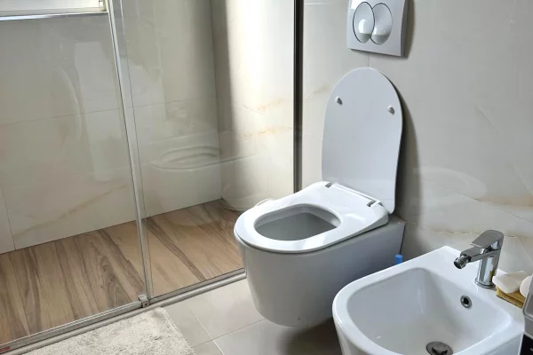 Shtepi me qera Apartament ne Tirane, 2+1, Mobilimi E mobiluar, Pagesa 650  Euro.