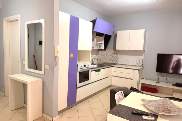 Shtepi me qera Apartament ne Tirane, 1+1, Mobilimi E mobiluar, Pagesa 65,000  Leke.