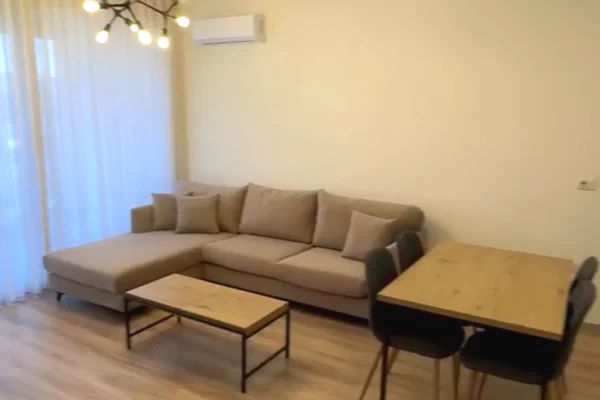 Shtepi me qera Apartament ne Tirane, 1+1, Mobilimi E mobiluar, Pagesa 65,000  Leke.