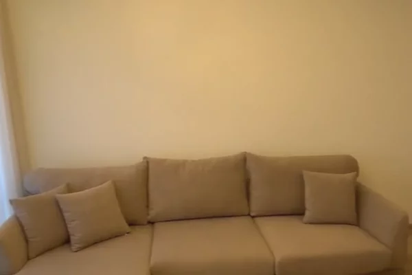 Shtepi me qera Apartament ne Tirane, 1+1, Mobilimi E mobiluar, Pagesa 65,000  Leke.