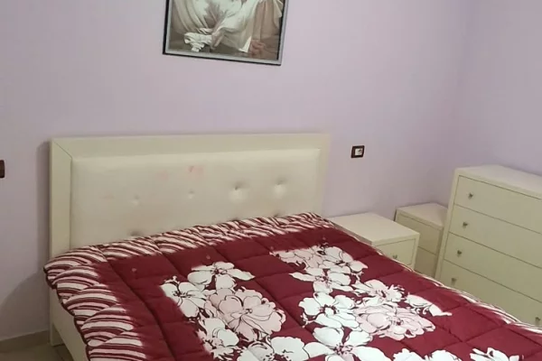 Shtepi me qera Apartament ne Tirane, 1+1, Mobilimi E mobiluar, Pagesa 45,000  Leke.