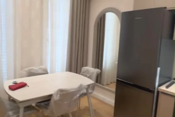 Shtepi me qera Apartament ne Tirane, 1+1, Mobilimi E mobiluar, Pagesa 50,000  Leke.