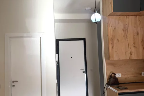 Apartment for rent in Tirana 1+1, Furnished