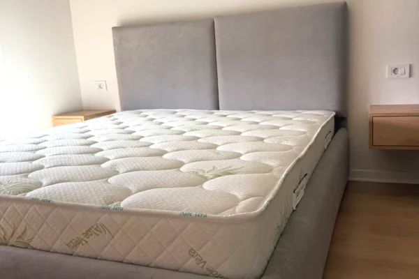 Apartment for rent in Tirana 1+1, Furnished