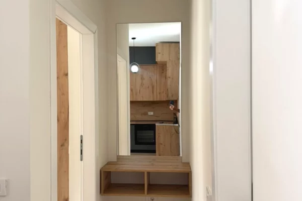 Apartment for rent in Tirana 1+1, Furnished