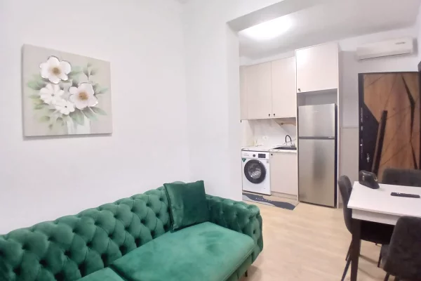 Casa privata/Indipendente in affitto a Tirana 1+1, Arredato