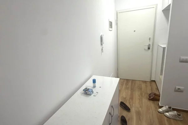 Shtepi me qera Apartament ne Tirane, 1+1, Mobilimi E mobiluar, Pagesa 60,000  Leke.