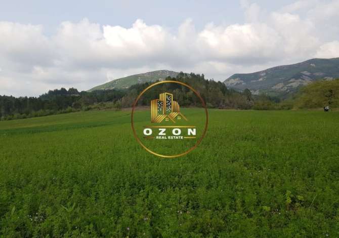 Tokë për Shitje në Petrelë!