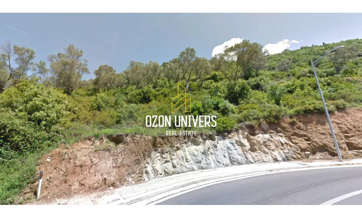 Shitet Toke, buze rruge Linze!