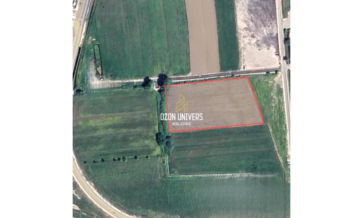 Shitet Toke buze rruge, ne Rinas!