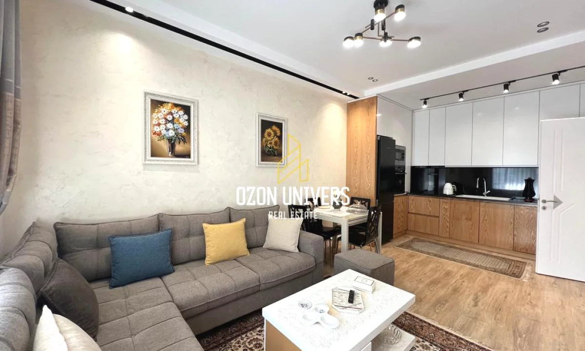 Shtepi me qera Apartament ne Tirane, 1+1, Mobilimi E mobiluar, Pagesa 65,000  Leke.