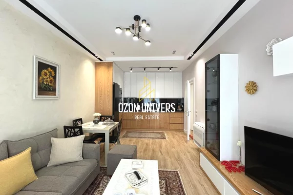 Shtepi me qera Apartament ne Tirane, 1+1, Mobilimi E mobiluar, Pagesa 65,000  Leke.