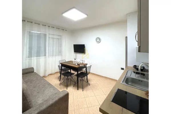 Apartment for rent in Tirana 1+1, Furnished