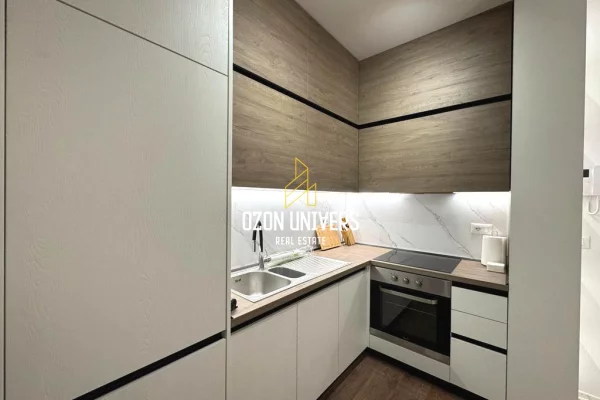 Shtepi me qera Apartament ne Tirane, 1+1, Mobilimi E mobiluar, Pagesa 85,000  Leke.