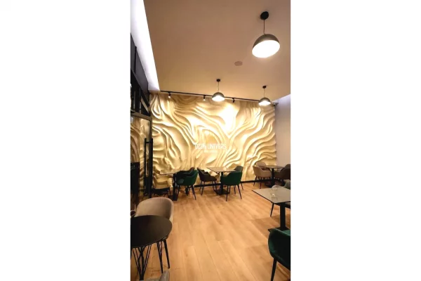 Business Property in Sale 2+1 in Tirana - 50,000 Dollar