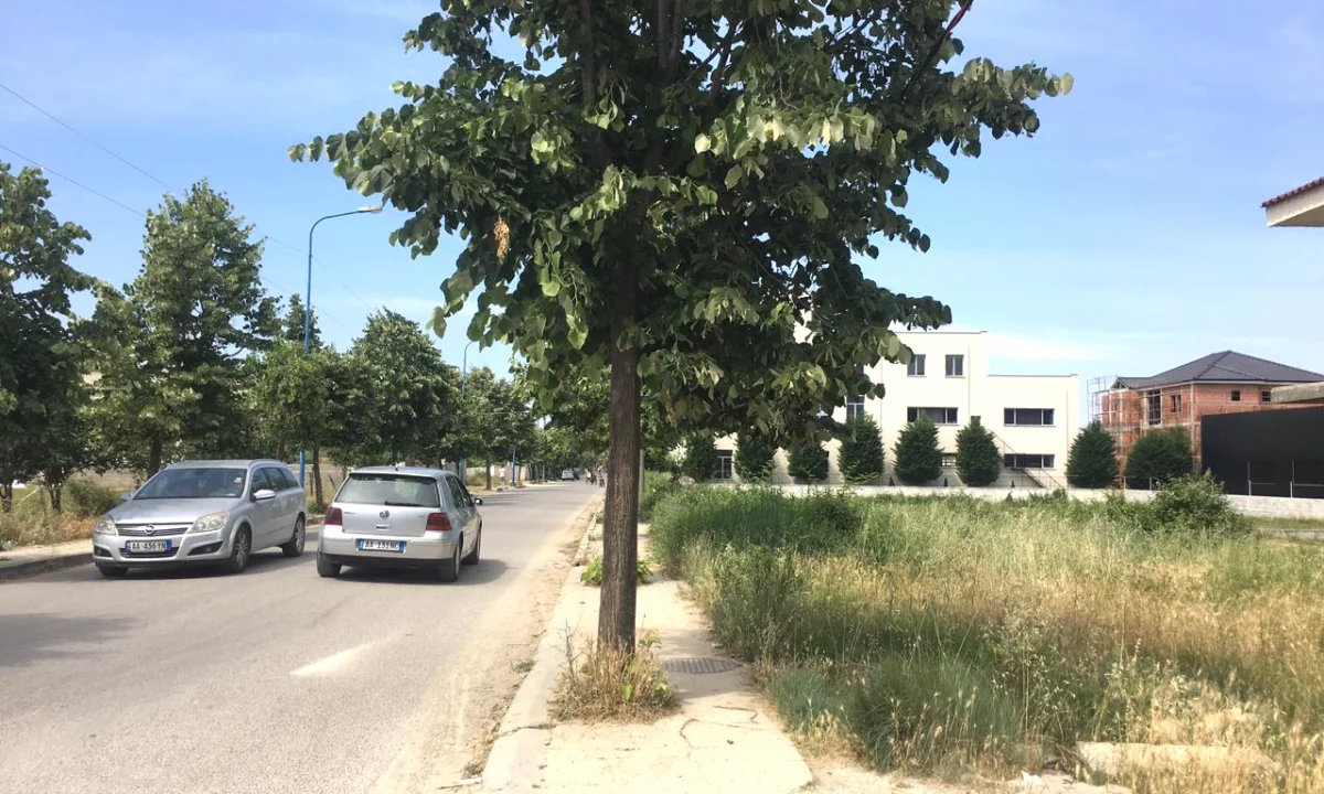 Shes 1000 m2 toke ne Borsh Himare.