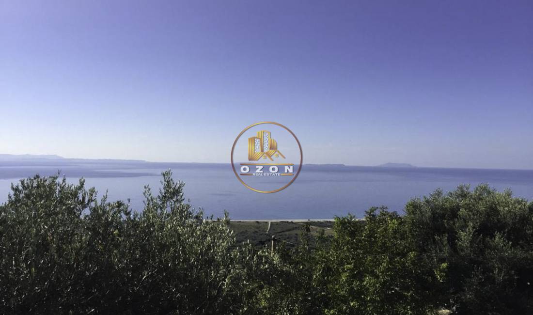 SHITET TRUALL NE BORSH SHUME PRANE DETIT !