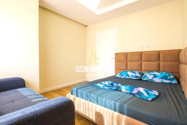 Shtepi me qera Apartament ne Tirane, 1+1, Mobilimi E mobiluar, Pagesa 800  Euro.