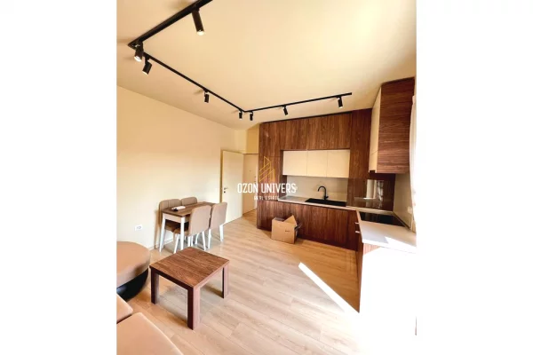 Shtepi me qera Apartament ne Tirane, 1+1, Mobilimi E mobiluar, Pagesa 750  Euro.