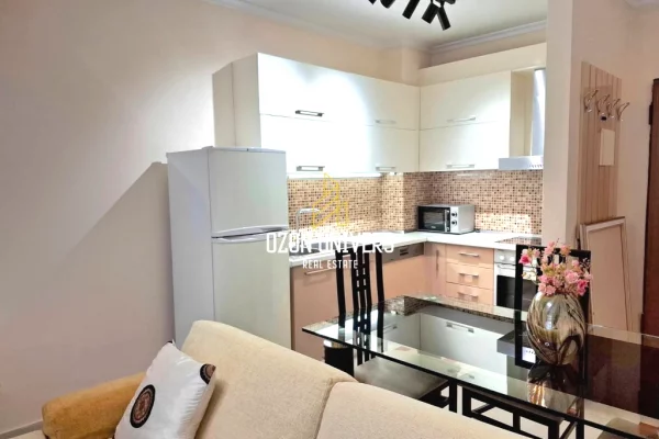 Shtepi me qera Apartament ne Tirane, 1+1, Mobilimi E mobiluar, Pagesa 60,000  Leke.