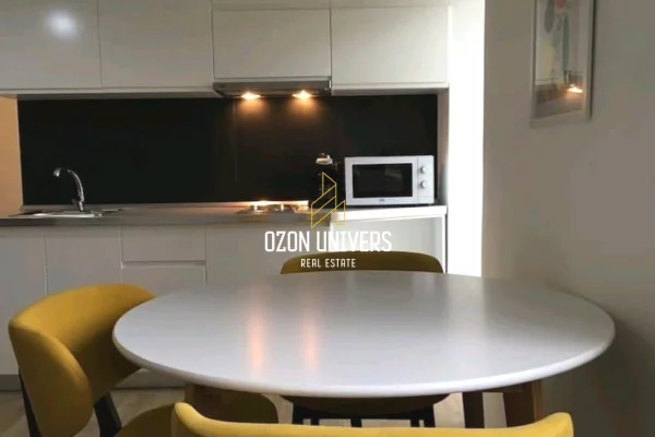 Shtepi me qera Apartament ne Tirane, 1+1, Mobilimi E mobiluar, Pagesa 62,000  Leke.