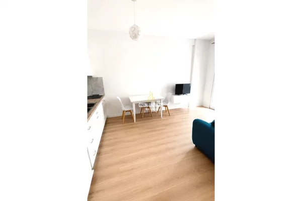 Shtepi me qera Apartament ne Tirane, 1+1, Mobilimi E mobiluar, Pagesa 40,000  Leke.