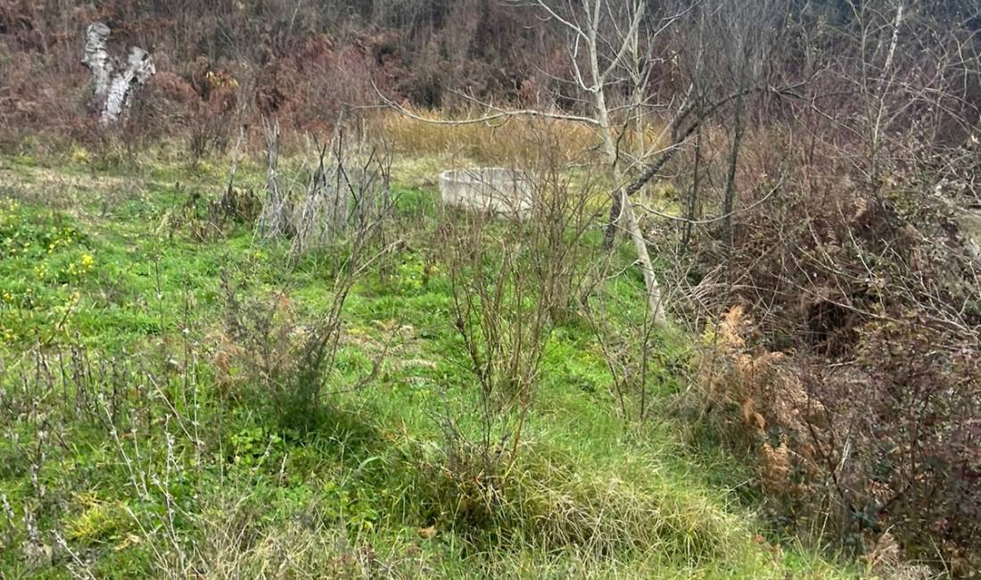 Shitet 22 dylym toke-are ne Baldushk, Me hipoteke