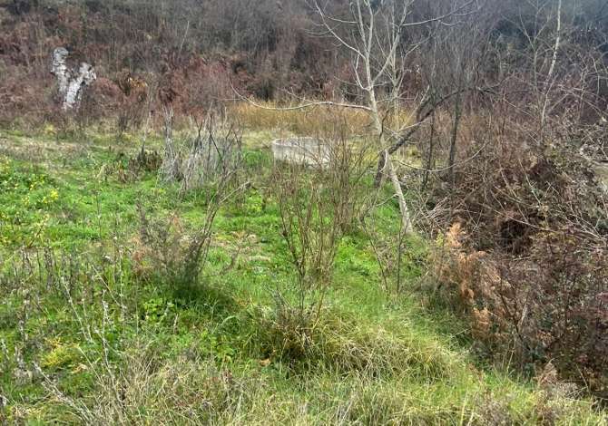 Shitet 22 dylym toke-are ne Baldushk, Me hipoteke