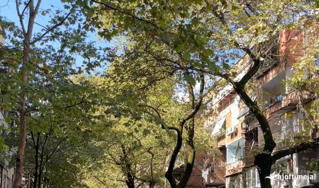 Shitet ambient biznesi 300 m2 me fasade xhami tek Myslym Shyri