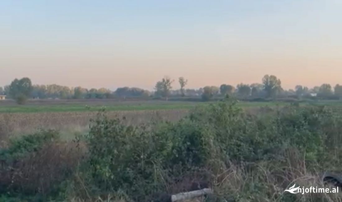 Shitet toke ne Fushe Preze, 6900 m2 me hipoteke