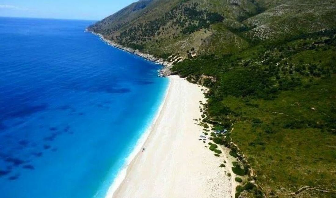 Shitet 15000 m2 toke ne brezin e pare,Piqeras