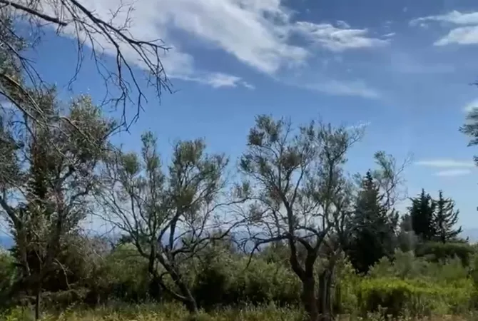 Truall ose Toke ne Himare - 704,000 Euro