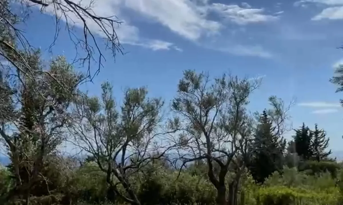 Shitet toke 3200 m2 ne Dhermi