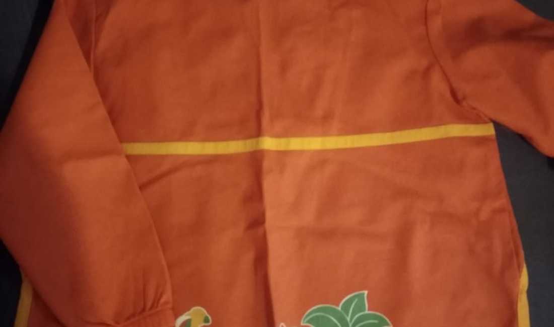 Shitet paint protector per femije.