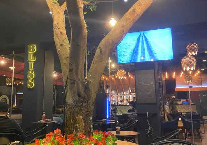 Njoftime Pune ne Tirane, Profesioni Kamarier/e , , Pagesa Me Marreveshje.