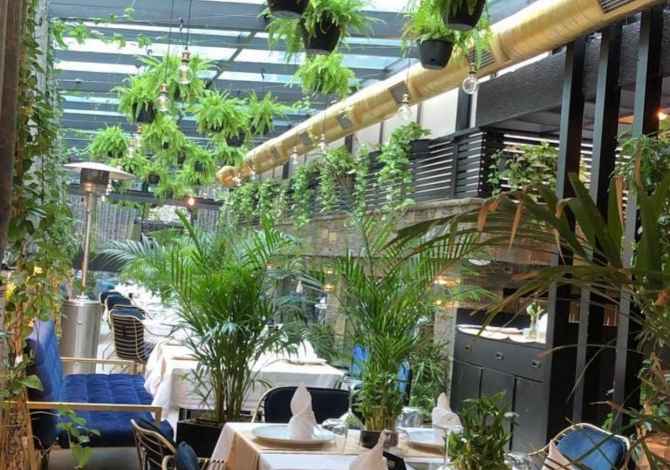 Njoftime Pune per Ndihmese Kamariere ne Tirane