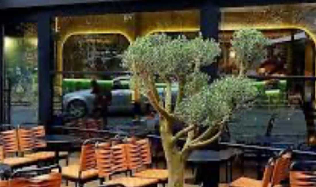 Njoftime Pune ne Tirane, Profesioni Picajol , , Pagesa Me Marreveshje.