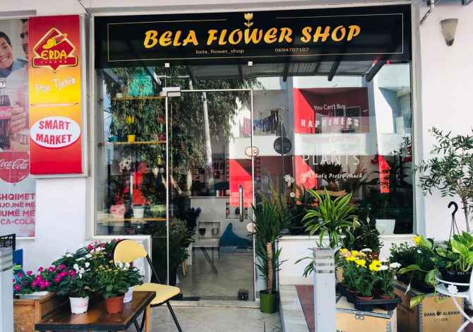 Njoftime Pune per Shitese ne Tirane