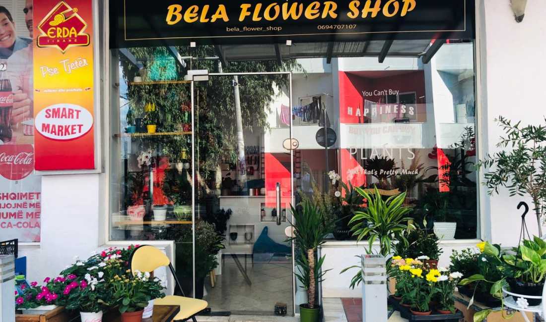 Njoftime Pune ne Tirane, Profesioni Shitese , , Pagesa Me Marreveshje.